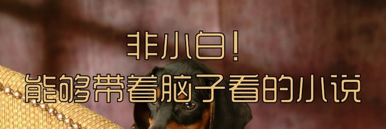 非小白！能夠帶著腦子看的小說